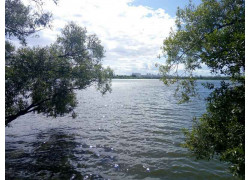 Чижовское водохранилище