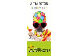 Мистер Туристер